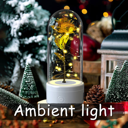 Eternal Rose in a Glass Dome